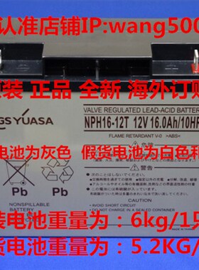 原装YUASA NPH16-12T 12V16Ah/10HR船舶VDR设备黑匣子电池OP24-12
