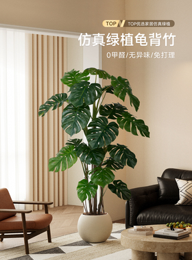模拟绿色植物Monstera Deliciosa经典易接近的豪华盆栽办公室装饰