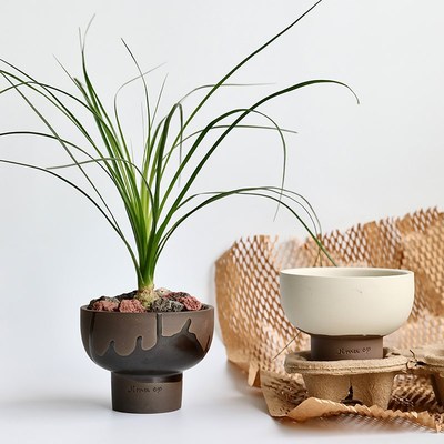 黑陶透气陶瓷花盆高脚多肉块根盆栽苔藓球创意设计陶土透气粗陶小