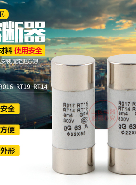 陶瓷保险丝管熔断器熔芯RT19 RO17 22*58 32A50A63A80A100A125A