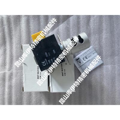 S30706-Z130A夹管阀 意大利