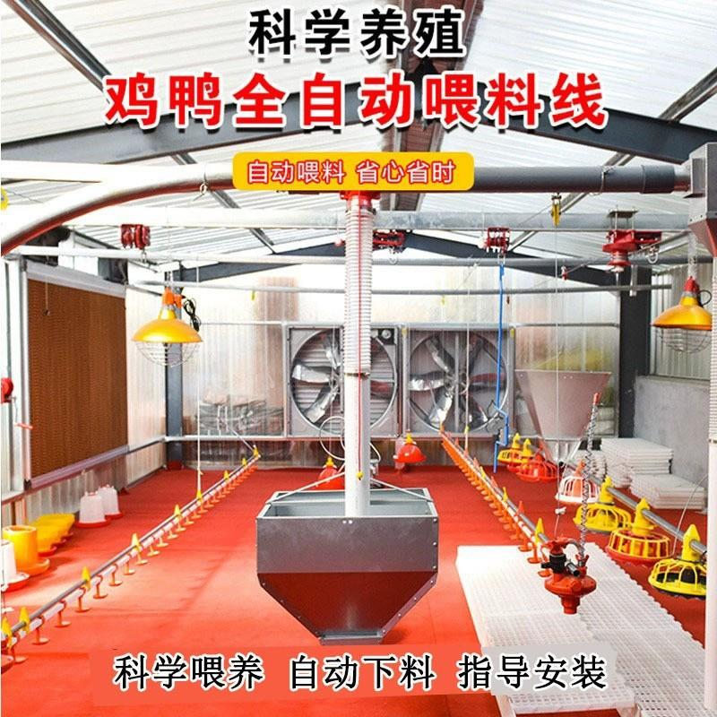 山东料线厂家养鸡自动料线水线畜牧养殖设备自动上料机鸡舍喂食器