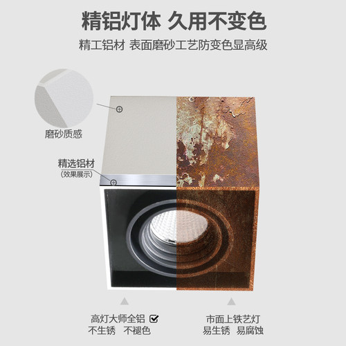 全铝明防眩白黑色免吸顶摆单智能
