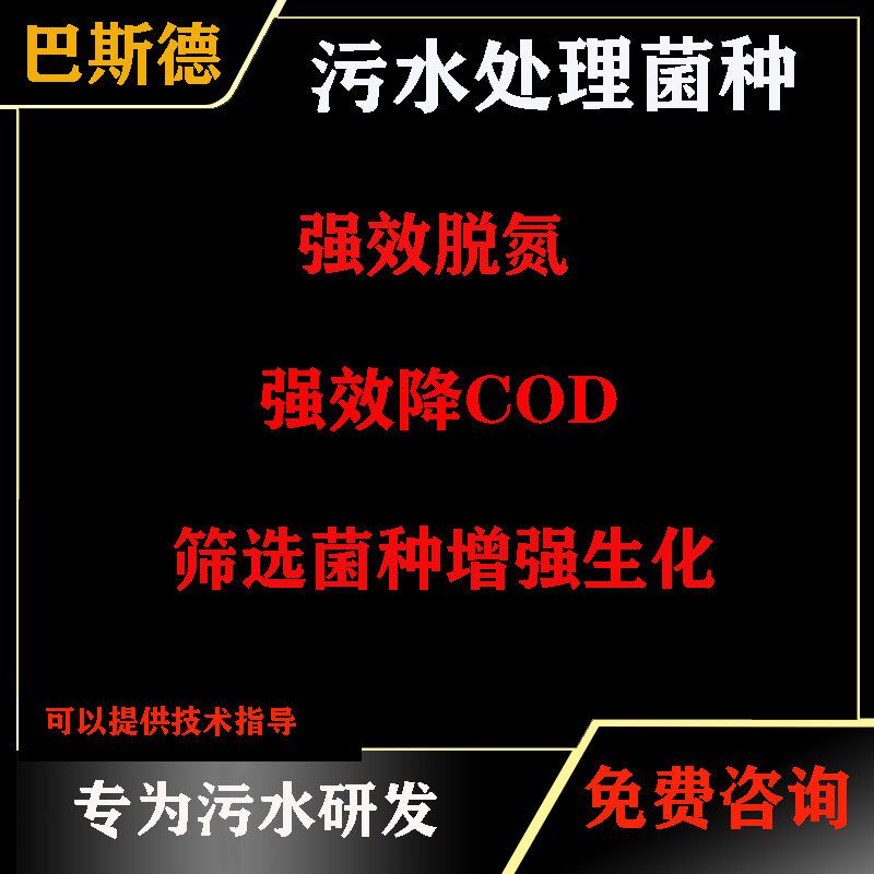 巴斯德 污水处理专用复合菌 微生物废水处理菌 复合菌种 降解COD