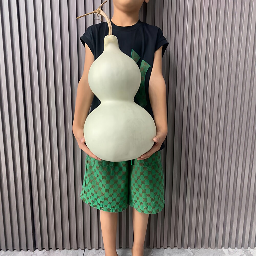 巨型特大号葫芦种子八宝手捻文玩老品种盆栽手撵小号葫芦籽种大全