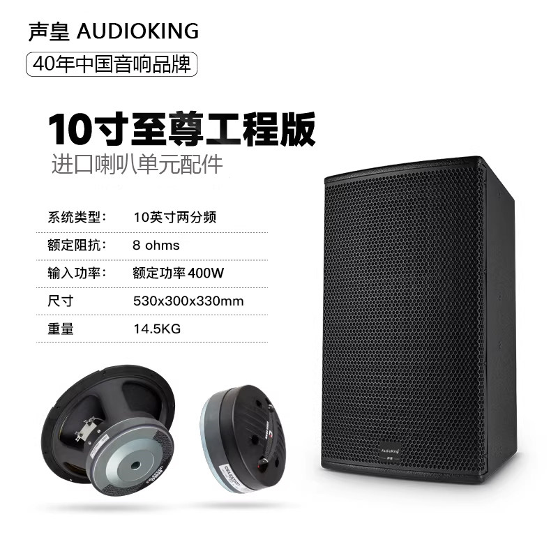 声皇AudioKing DK10专业音箱家庭KTV酒吧清吧舞台10寸音箱一对