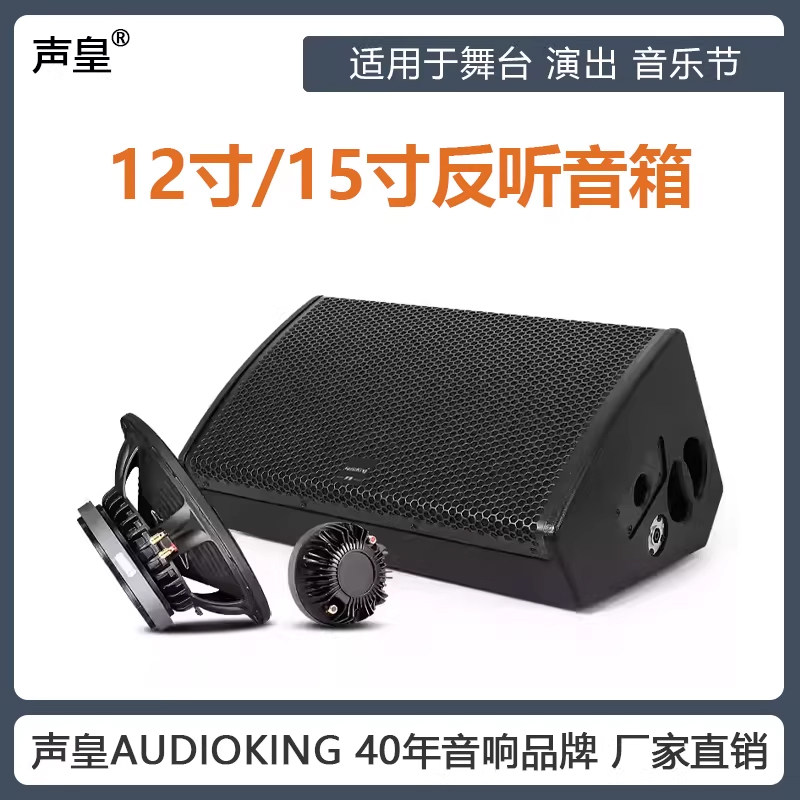 声皇AudioKing 12寸反听音箱 舞台演出酒吧监听台唇反听同轴音箱