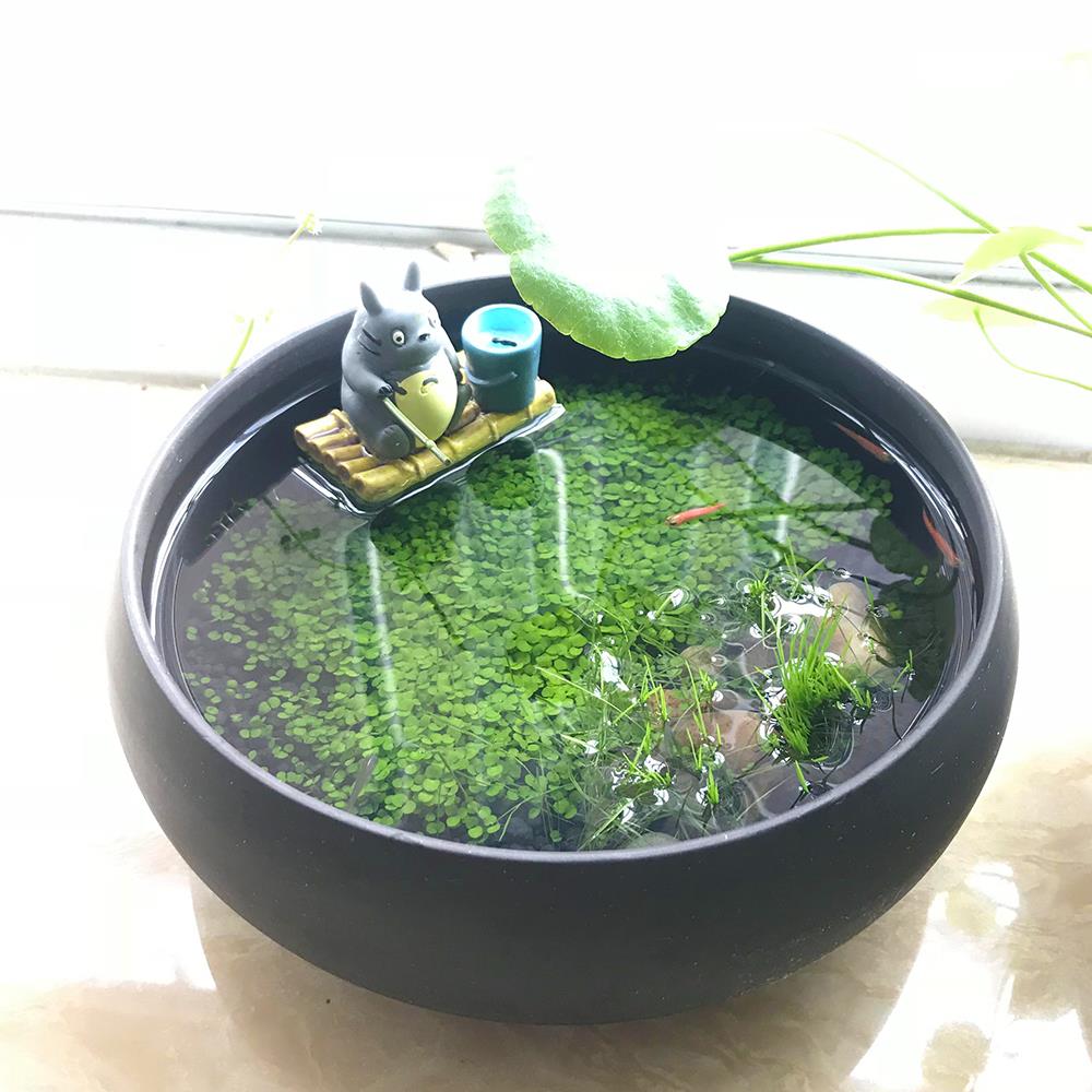 微景观龙猫钓鱼办公桌客厅鱼缸紫砂陶瓷植物水草浮萍diy创意盆栽