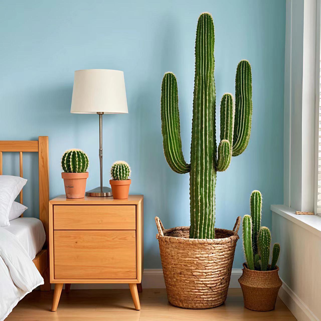 仿真仙人柱仙人球绿植盆栽热带沙生植物造景家居装饰组合假仙人掌