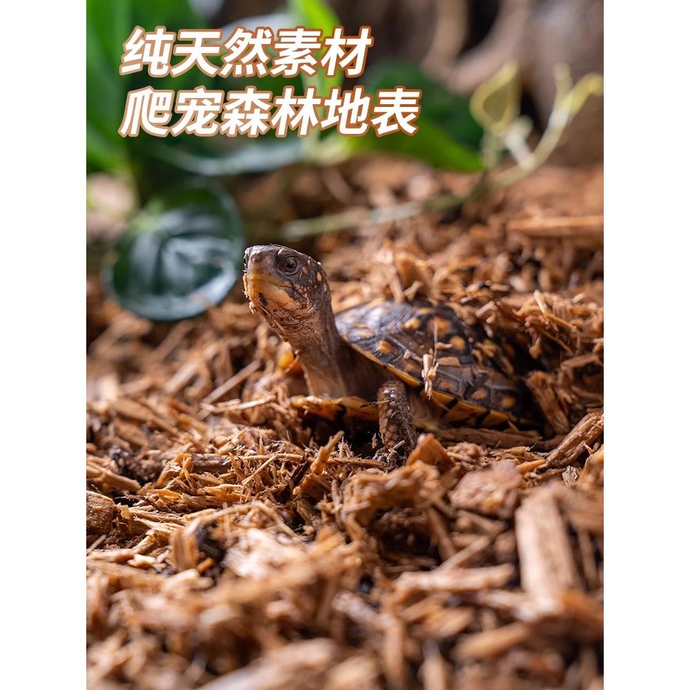 爬宠树皮垫材保湿雨林森林地表除臭分解守宫陆龟蛇饲养箱地垫自然