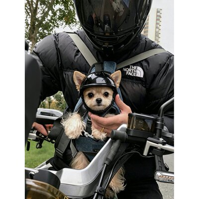 【get机车小狗】宠物头盔外出防风泰迪熊小型犬摩托车户外宠物帽