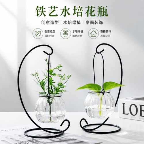 北欧玻璃水培绿萝花瓶
