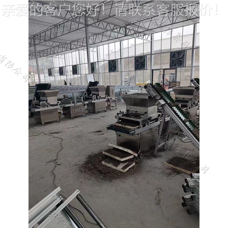 西南地区农业育苗播种机全自动覆土压穴播种流水线蔬菜种子点播机