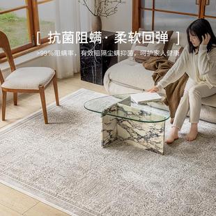 客厅抑菌家用免打理环保卧室 视觉味道土耳其进口现代复古地毯法式
