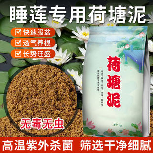 乌龟荷塘泥碗莲睡莲专用荷花植物营养土塘泥水培河塘泥淤泥