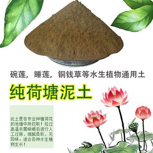 荷塘泥荷花土乌龟冬眠土睡莲碗莲土水培淤生态缸泥池塘土通用泥土