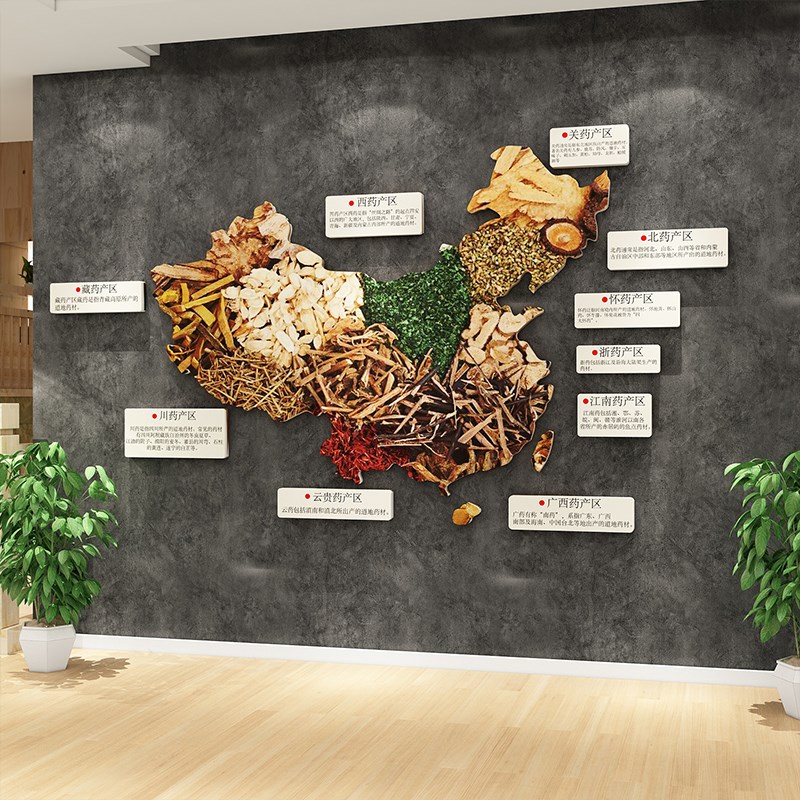 中医阁药材地图养生馆软装饰品挂画形象装饰背景文化氛围布置