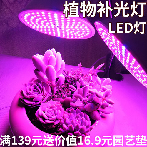 多肉植物补光灯上色LED仿太阳全光谱紫外线生长灯室内花卉家庭用