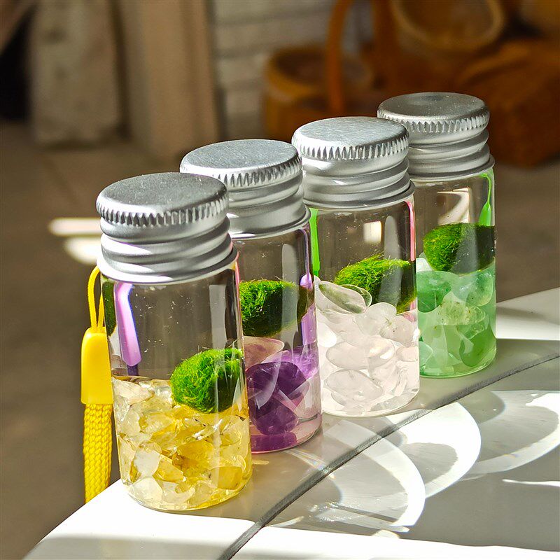 海藻球diy随身瓶 天然水晶玻璃瓶 新奇好养水培植物 创意迷你盆栽