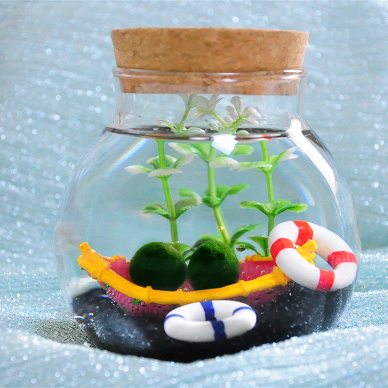 Marimo幸福海藻球微景观生态瓶玻璃瓶创意迷你桌面植物diy盆栽