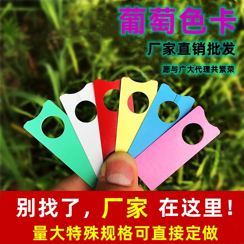 宏荣植物标签葡萄记号牌葡萄标记卡瓜果标记牌西瓜标记牌园艺标签
