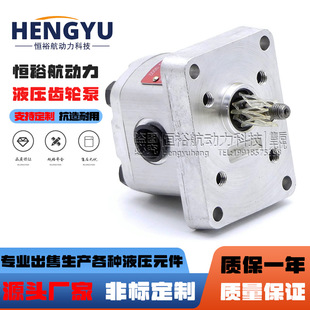 0.8R.14300 GP2 T10RK510A 7.9R液压泵 ARGO P23 HYTOS齿轮泵