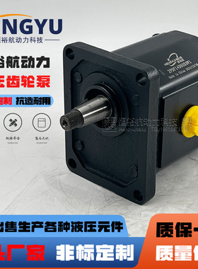 恒裕航液压泵2PDF14D布雷维尼Brevini齿轮泵OT20HP14D/G28IP2-B