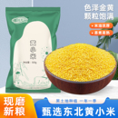东北黄小米当季 新米5斤农家自种食用脂小米五谷杂粮粗粮糯小米粥