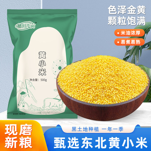 东北黄小米当季新米5斤农家自种食用脂小米五谷杂粮粗粮糯小米粥
