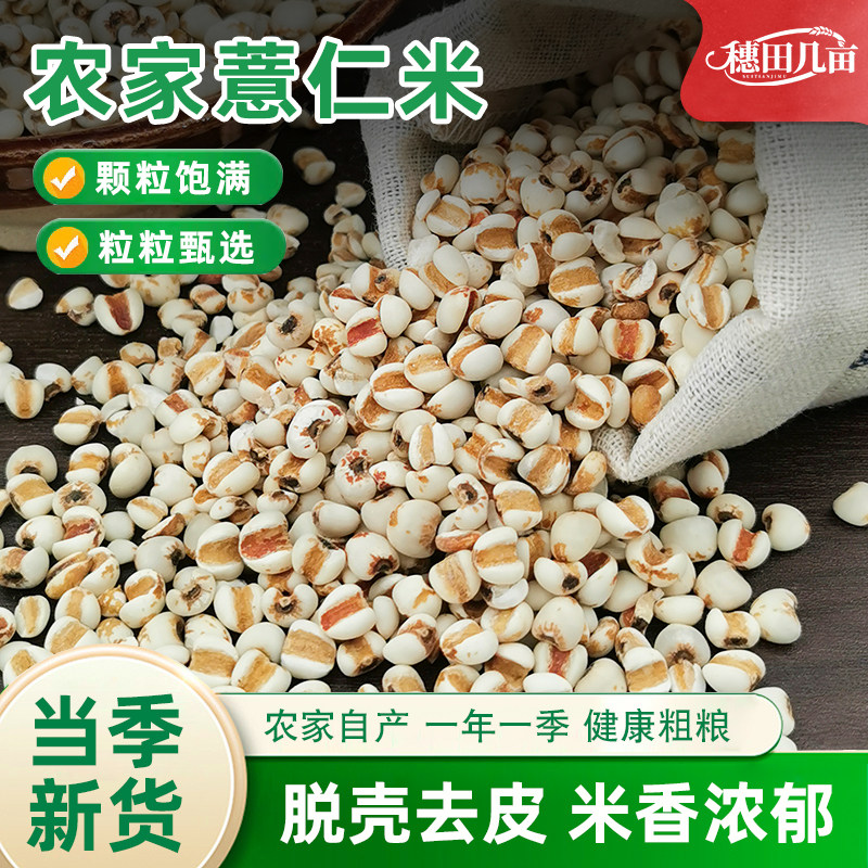 薏仁米新米贵州农家糯苡仁五谷杂粮大薏米仁赤小豆煲汤煮粥泡茶水图片