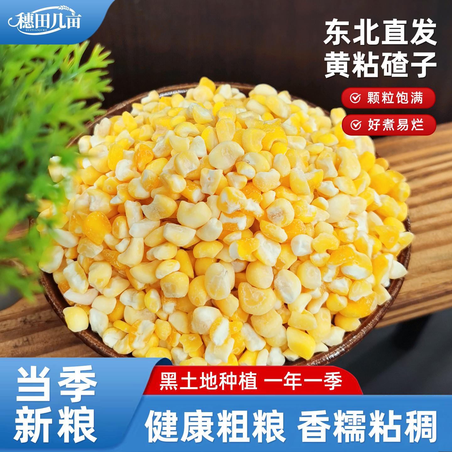 东北黄粘碴子2025农家粗粮大碴子粥粘糯玉米碴苞米碴子