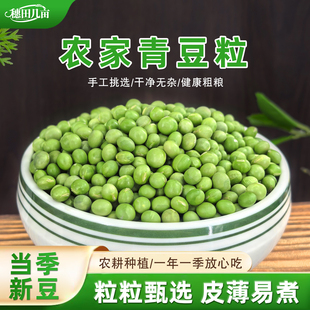 穗田几亩新货大青豆5斤老品种大青豆生干青豆青仁青芯双青豆250克