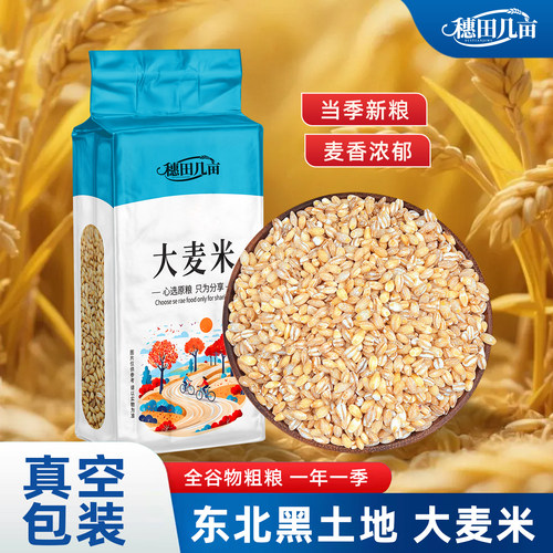 东北大麦仁真空装新脱皮500g农家新鲜粗粮大麦米去皮麦仁杂粮煮粥
