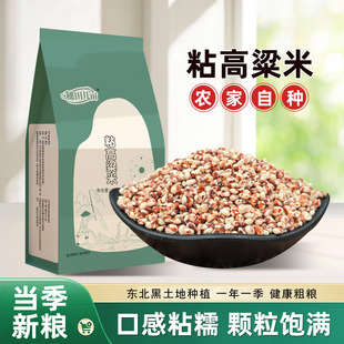 东北红粘高粱米5斤新米糯米饭现磨去皮糍粑酿酒食材五谷杂粮米粥