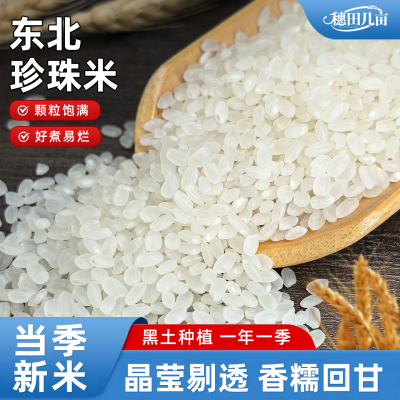 穗田几亩25年东北珍珠米圆粒米粳米颗颗饱满香软糯5斤装东北大米