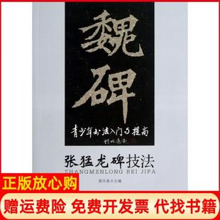 【正版书】张猛龙碑技法雅风斋金盾出版社9787508284088