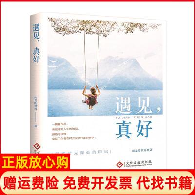 【正版书】遇见真好雨儿的世界文化发展出版社9787514223439