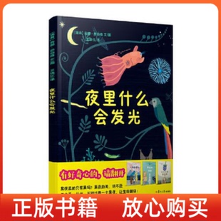 書 夜里什么會發(fā)光莉娜舒伯格王映紅復(fù)旦大學(xué)出版 社 正版