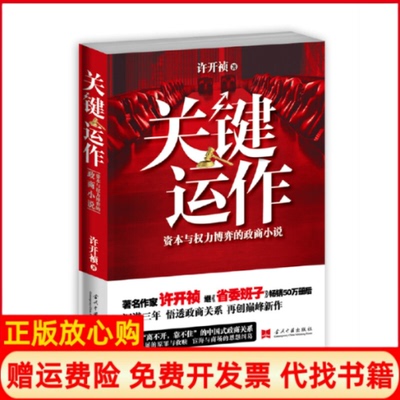 【正版现货】关键运作资本与权力博弈的政商小说许开祯当代中国9787515404974