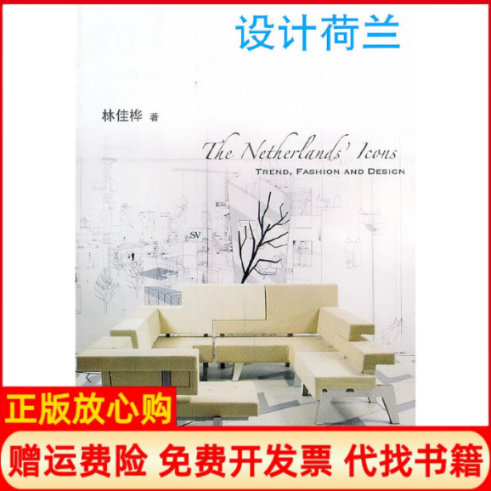 【正版书】设计荷兰林佳桦山东画报出版社9787547401422