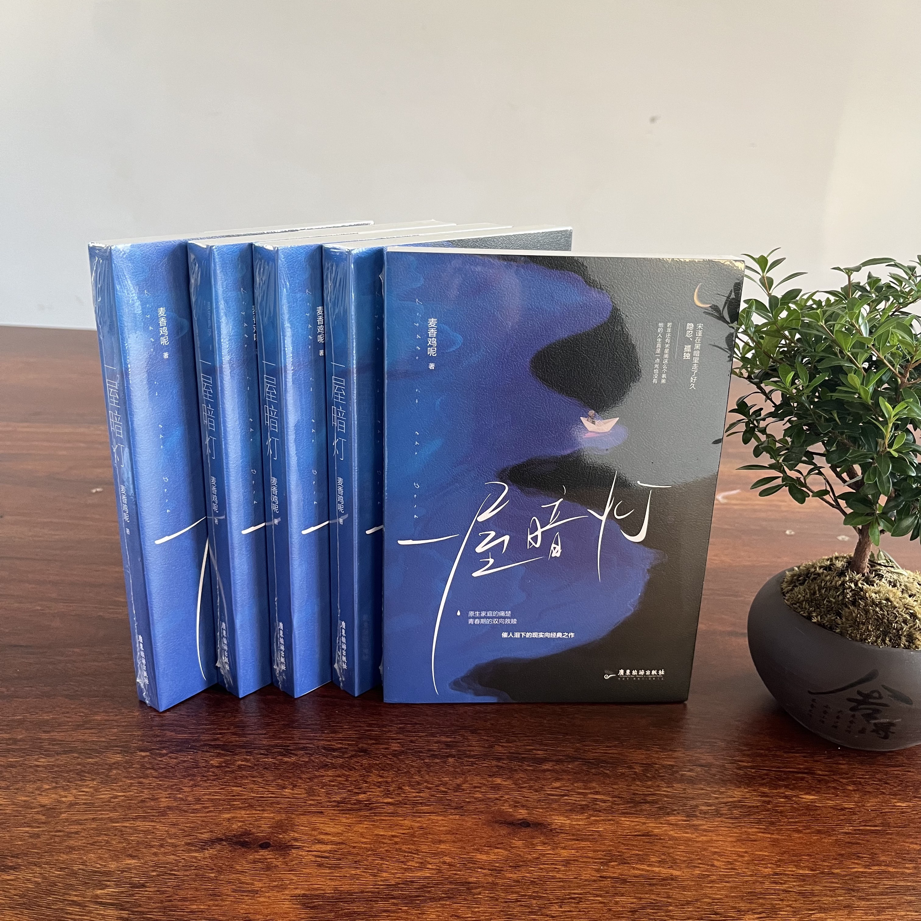 一屋暗灯人气作者麦香鸡呢