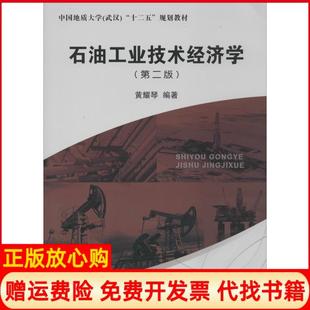 【正版书】石油工业技术经济学第2版无中国地质大学出版社有限责任公司9787562533313