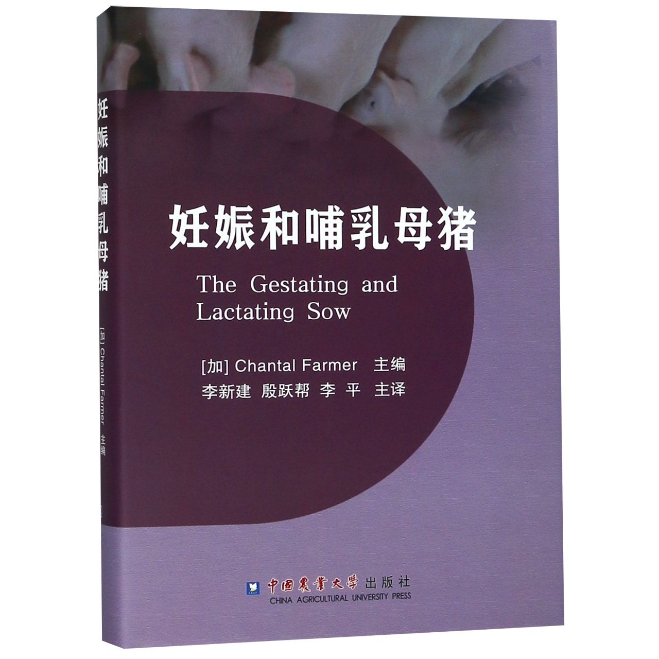 正版书妊娠和哺乳母猪(精)编者:(加)尚塔尔·法莫|译者:李新建//殷跃帮//李平中国农业大学