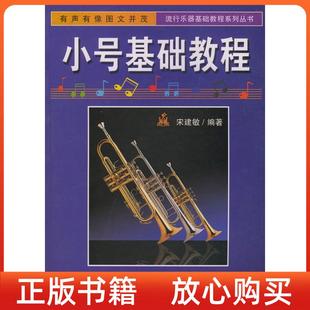 小號(hào)基礎(chǔ)教程流行樂器基礎(chǔ)教程系列叢書宋建敏中國廣播影視出版 正版 書 社