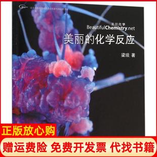 【正版现货】美丽的化学反应梁琰清华大学出版社9787302423782