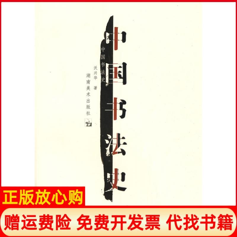 【正版书籍】中国书法史沃兴华著湖南美术出版社9787535629951