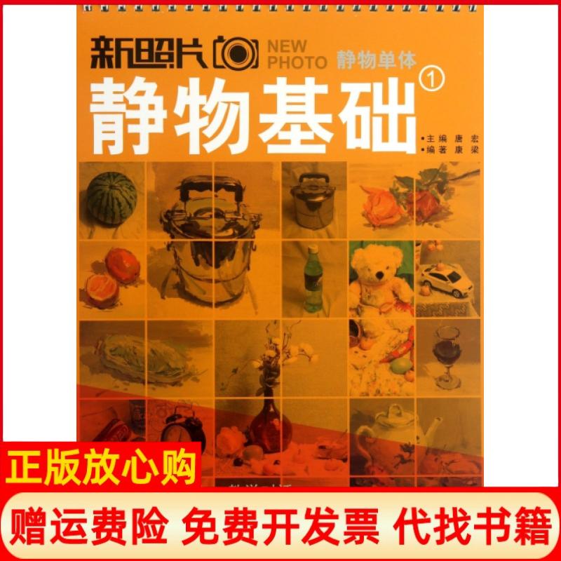 【正版书】新照片静物单体1静物基础康梁著唐宏 江西美术出版社9787548022787