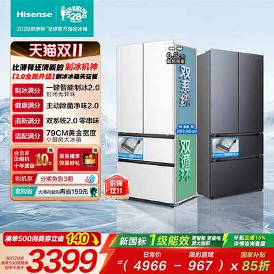 海信法式自动制冰多门冰箱509