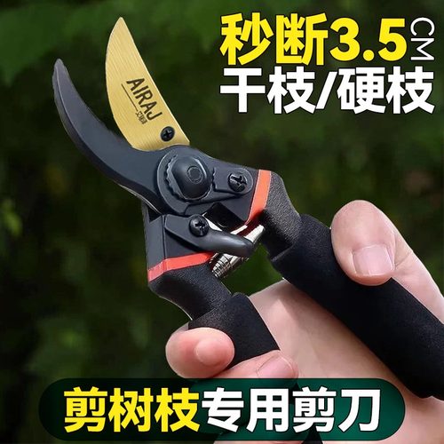 园艺剪刀修枝剪果树专用剪刀树枝园林修花神器家用粗枝花卉修剪刀