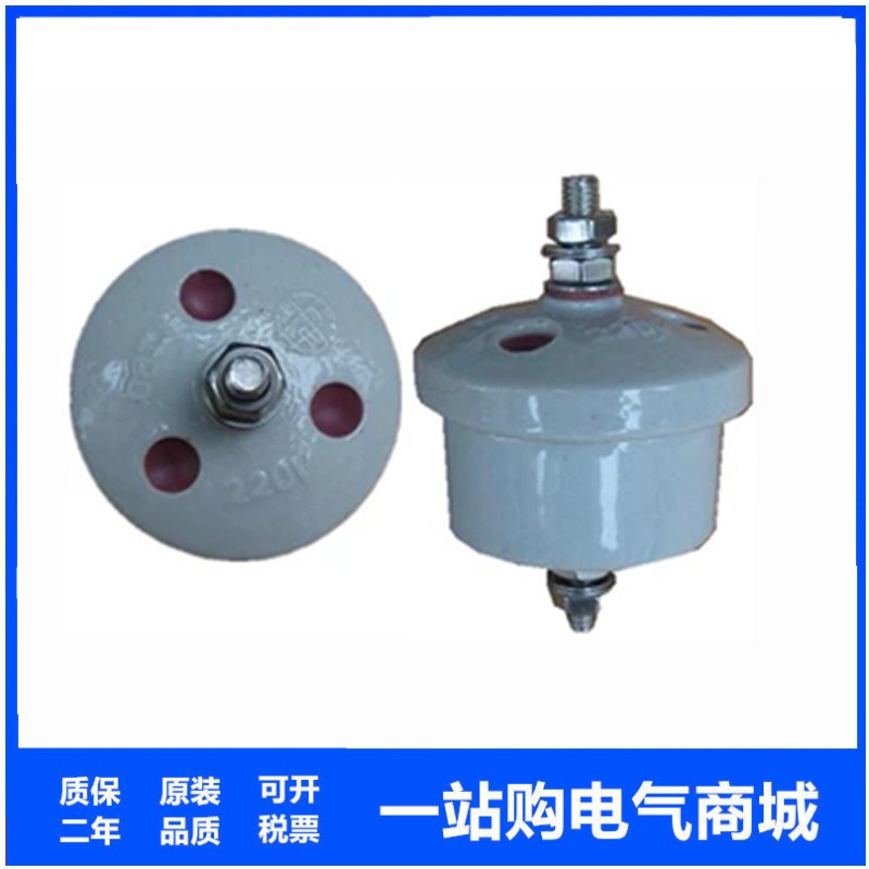 JB0-220V 低压穿击保险器 JBO-0.22KV 击穿保险器 陶瓷避雷器